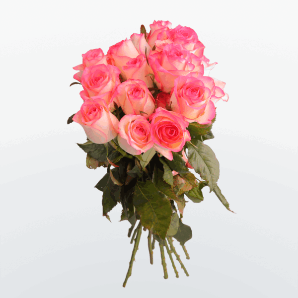 Розы 60 см Розовые