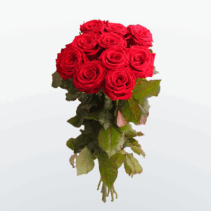 Розы 60 см Красные
